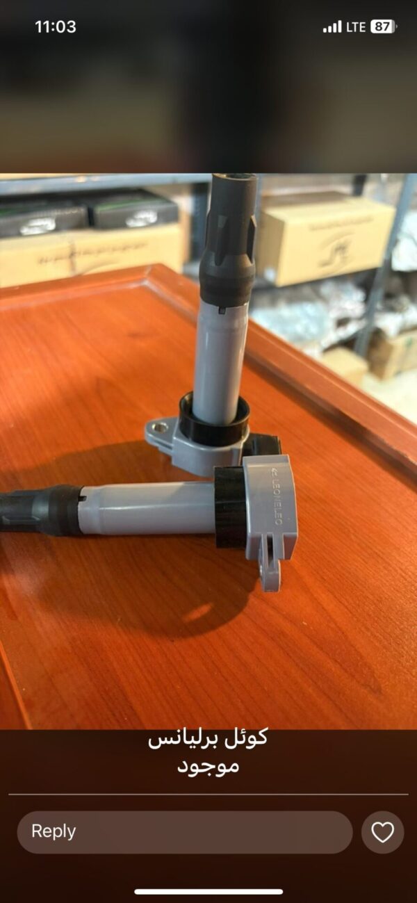 کوئل برلیانس و اریو - تصویر 1