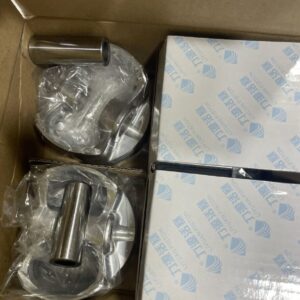 پیستون با رینگ استاندارد اریو زوتی